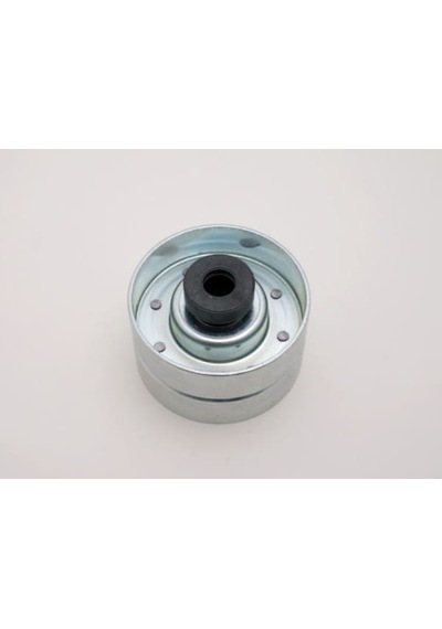GMB GT60080 Eksantrik Rulmanı Ducato-Scudo-P206-P306-P307-P406