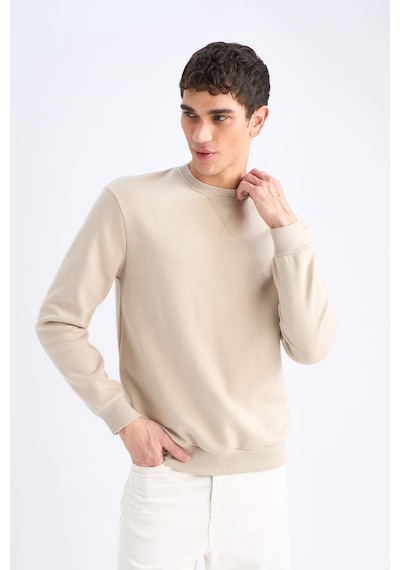 DeFacto Regular Fit Bisiklet Yaka Kalın Basic Düz Sweatshirt T3777AZ25SPBG735