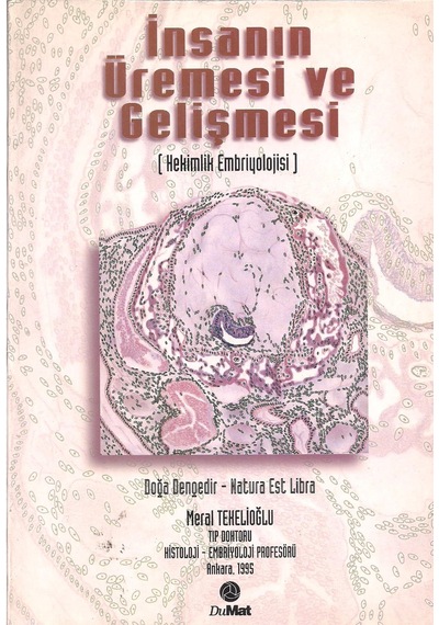 İnsanın Üremesi Ve Gelişmesi N11.664