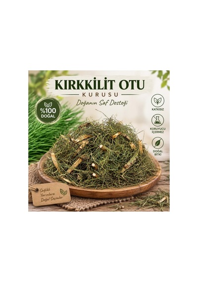 Kırkkilit Otu Equisetum Arvense 50 Gram - 937777870