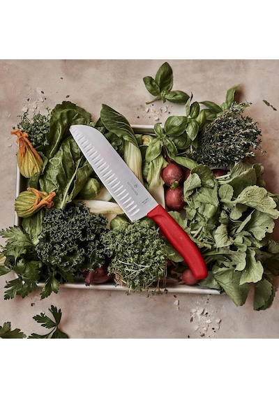Victorinox Swissclassic Genel