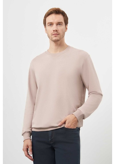 Morven Erkek Taş Basic Bisiklet Yaka Sweat-shirt 25ks063005870 Taş Taş