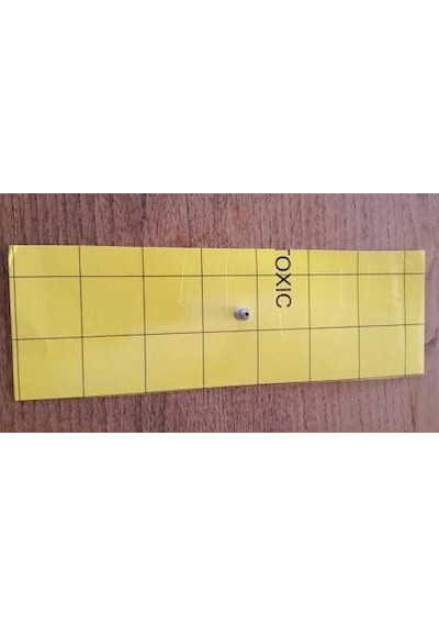 Yapışkanlı Güve Tuzağı