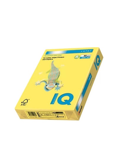 Mondi İq Renkli Fotokopi Kağıdı A4 80gr Altın Go22