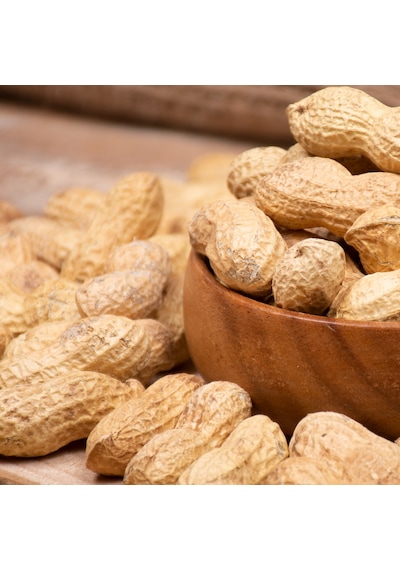 Kurtuluş Kuruyemiş Çiğ Kabuklu Fıstık 500 G