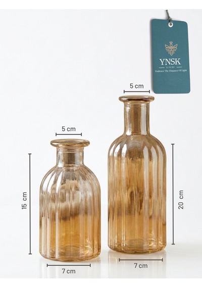 2 Li Cam Vazo Seti Minimalist Dekoratif Modern Nordic Çiçeklik Masa Üstü Vazo Bal