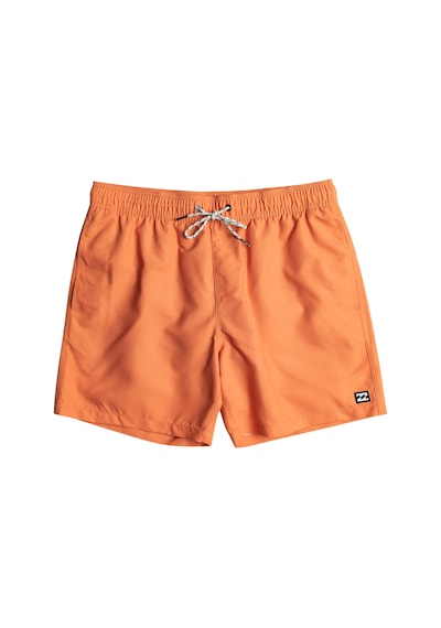 Bıllabong Billabong All Day Lb Erkek Yeşil Volley Short 763 Çok Renkli