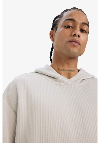 Defacto Boxy Fit Kapüşonlu Kanguru Cepli Jakarlı Sweatshirt E9308ax25augr437 Gri