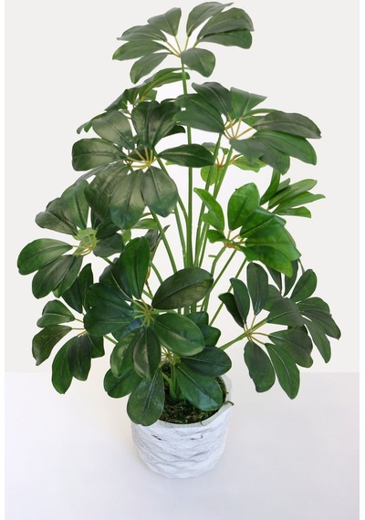 Beton Saksıda Yapay 18 Dallı Lüx Schefflera Şeflera Bitki 68 Cm