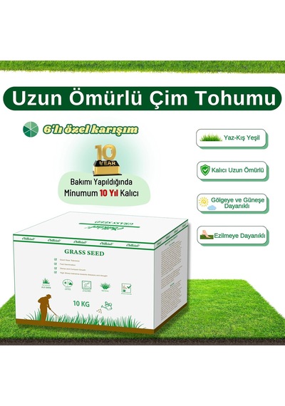 Çok Yıllık Çim Tohumu 10 Kg Uzun Ömürlü 6'li Karışım Gölge Ve Aşırı Güneşli Alan İçin Uygun Yetiştirilmesi Kolay 4 Mevsim Yeşil