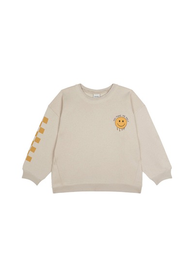 Antebies Bej Sarı Uzun Kollu Erkek Çocuk Sweatshirt Çok Renkli