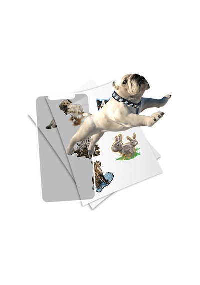 Holotoyz Sticker Pet Party Ar Uyumlu Etiket