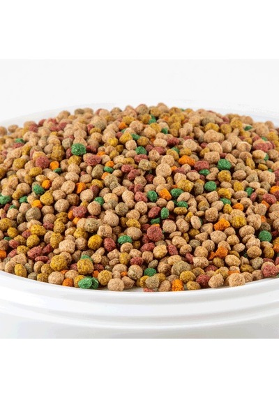 Rasyon Meyveli Ve Sebzeli Papağan Yemi 1 Kg