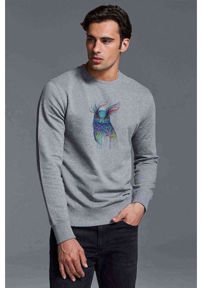 Renkli Baykuş Pop Art Illüstrasyon Baykuş Baskılı Gri Erkek Sweat