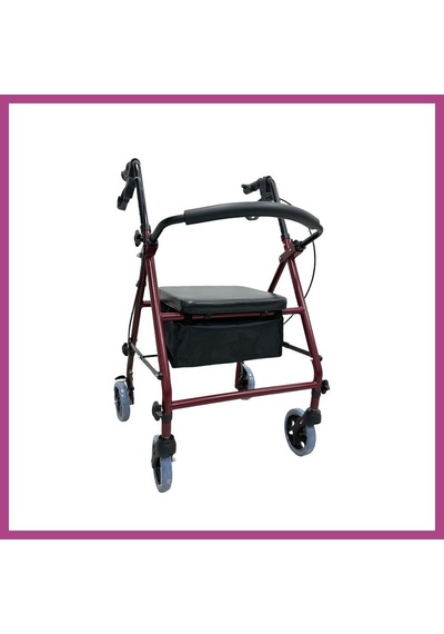 Gees Global Pr-880 Alüminyum Rollator Tekerlekli Yürüteç Gbzs