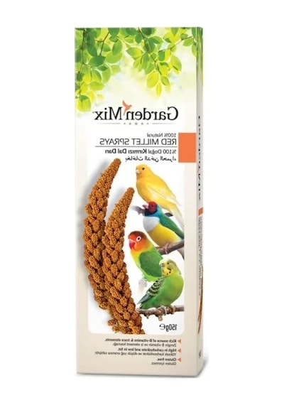 Platin Kırmızı Dal Darı, Yeni Hasat