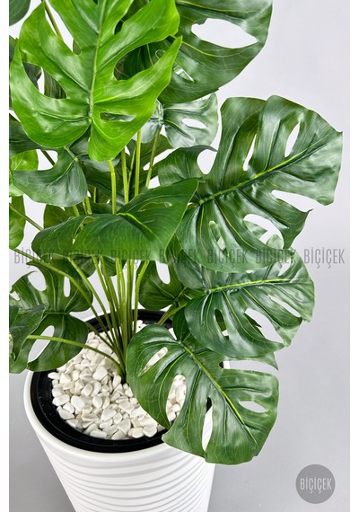 Biçiçek Yapay Monstera Deve Tabani Bi̇tki̇si̇ 130 Cm Beyaz Kumsal Saksıda