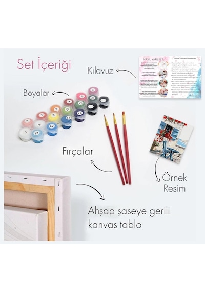 Sayılarla Boyama Seti 40 X 50 Cm Tuval Şasesine Gerili Araba Kasasındaki Çiçekler