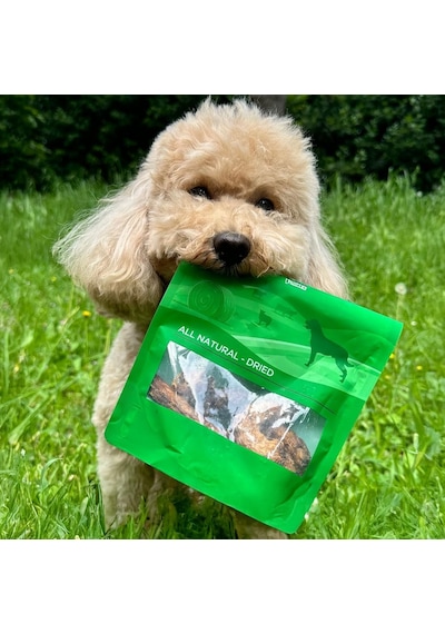 Kito Tavuk Boyun Çiğnemelik Köpek Ödül Maması%100 Doğal, Glutensiz, Organik 100 Gr Dog Treat
