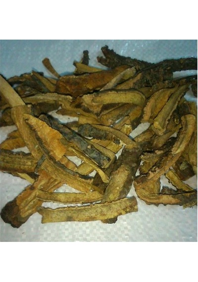 Işgın Kökü-yaban Muzu Kökü 250 Gr Aktar Depo Diğer