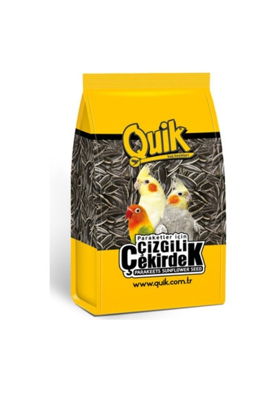 Çizgili Paraket Çekirdeği 500 Gr