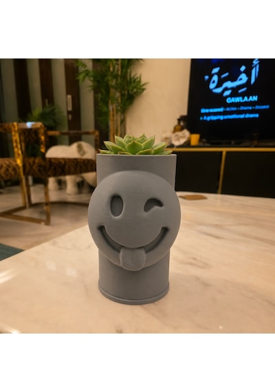 3d Baskı Emoji Planter - Göz Kırpan Yüzlü Sukulent Saksısı-gri
