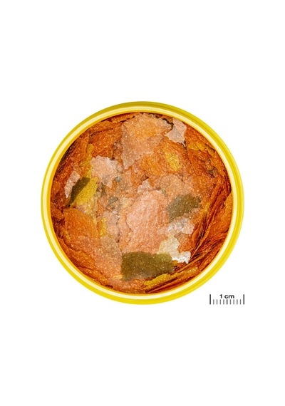 Jbl Pro Novo Tanganyika Flakes M 950 Gr / 5,5 L