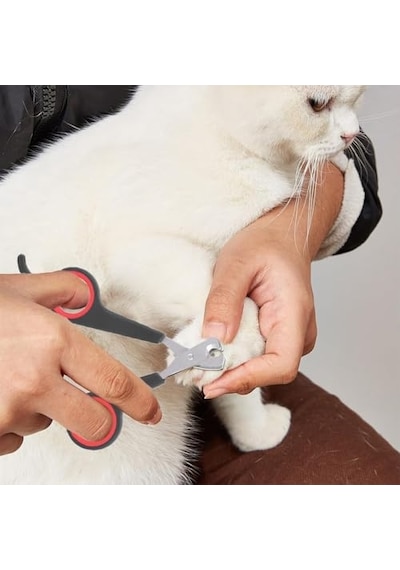 Büyük Boy Kedi Ve Köpek Merdiveni Ortopedik Basamaklı Fermuarlı Sert Süngerli 40cm X 51cm X 50cm