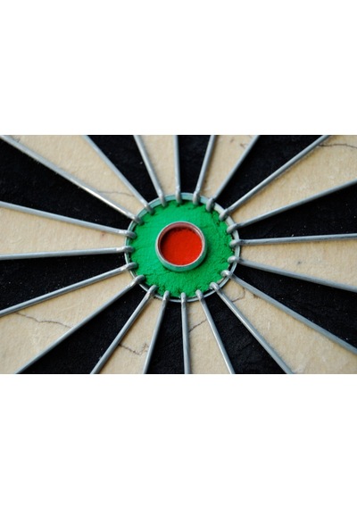 Winmau Pro Sfb Dart Hedef Tahtası