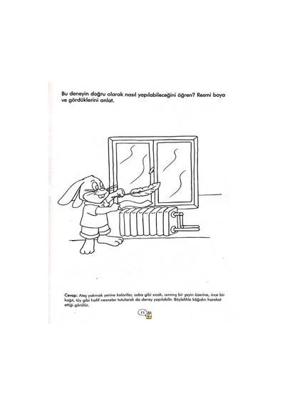 4-6 Yaş Renkli Kitaplar Özel Gün ve Haftalar Angora Yayınları
