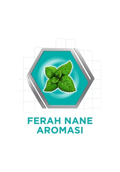 Diş Protezi Yapıştırıcı Krem Naneli 40 Gr X3 Adet