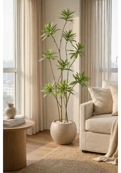 Biçiçek Yapay Dragon Bi̇tki̇si̇ 160 Cm Antresi̇t Mocha Saksıda