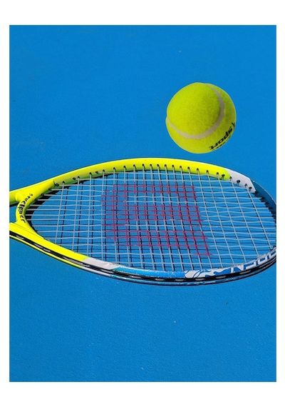1 Adet Tenis Antrenman Topu