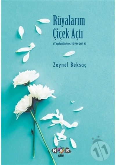 Rüyalarım Çiçek Açtı - Zeynel Beksaç - Nar Yayınları