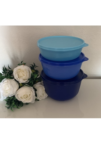 Tupperware Mucize Şeker Saklama Ve Servis Kabı 3 Lü Set Yeni Renkler Mavi