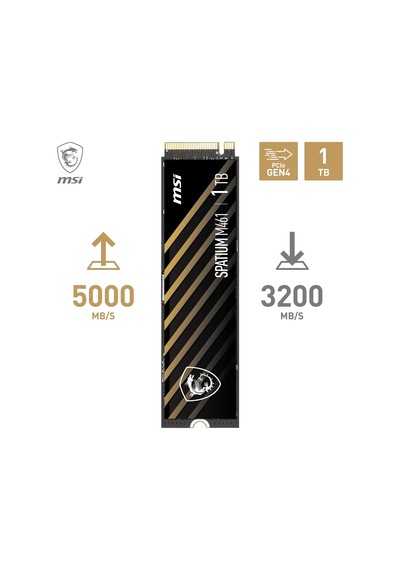 Spatıum M461 Pcıe 4.0 Nvme M.2 1tb Ssd