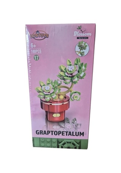 Blossom Graptopetalum Çiçek