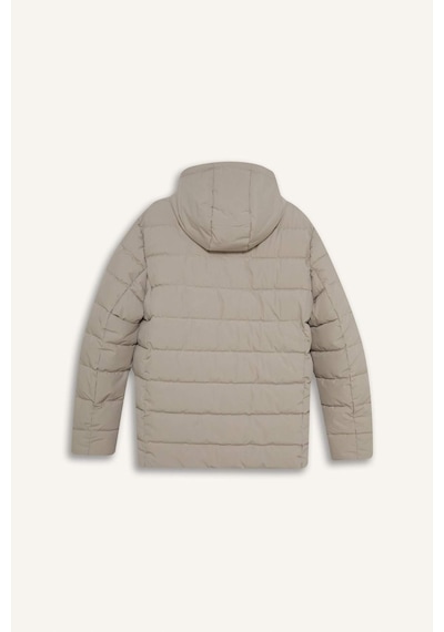 Defacto Su İtici Slim Fit Dar Kesim Astarlı Kapüşonlu Fermuarlı Cepli Dolgulu Mont R0216az25aubg766 Bej-bg766