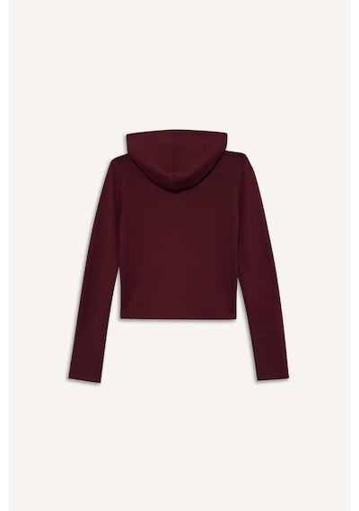 Defacto Slim Fit Dar Kesim Kapüşonlu Modal Fermuarlı Sweatshirt F7651ax25aubr115 Bordo-br115
