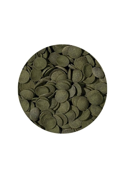 Tropical Green Algea Wafers Kovadan Bölme 1000 Gr