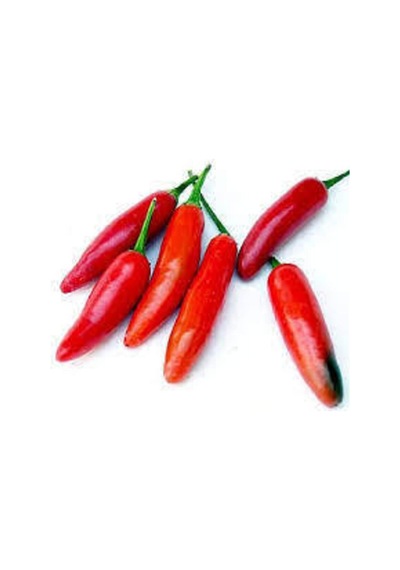 10 Adet Tohum Meksika Biberi Tohumu Acı Meksika Biberi Tohumu Jalapeno Kırmızı Süpriz Hediye Tohumlu