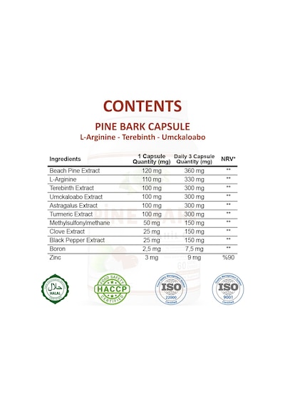 Gökçek Şifa Sahil Çamı (Pine Bark Capsule) 60 Kapsül