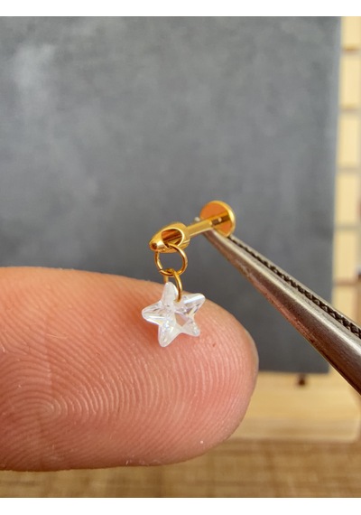 Yüksek Kalite G23 Titanium Sallantı Yıldız Zirkon Titanyum 6x1.2mm Labret Piercing Altın