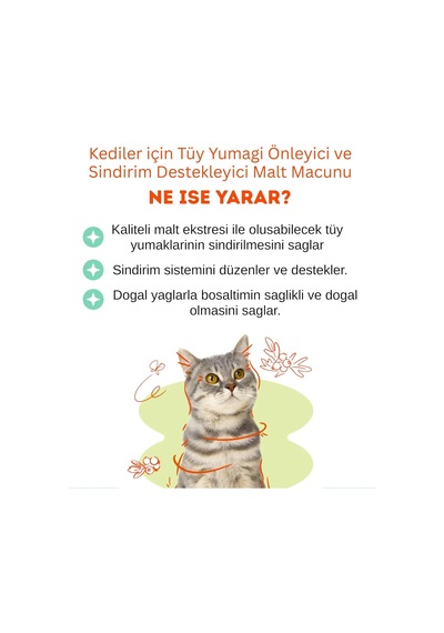 Biofeline Malt Paste 100 Gr Kediler Için Tüy Yumağı Önleyici Malt Macunu