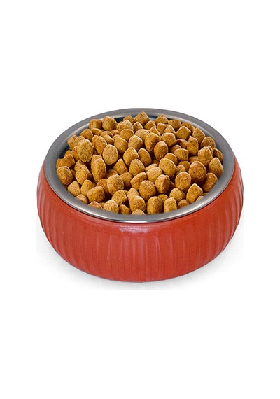 Mikopet Organik Seramik Mama Kabı Kiremit Çok Renkli