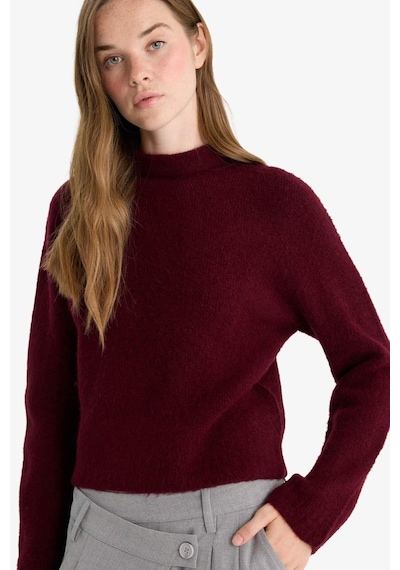 Defacto Regular Fit Yarım Balıkçı Yaka Kazak F4768ax25wnbr466 Bordo