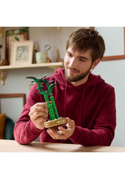 10344  Botanicals Şans Bambusu 325 Parça +18 Yaş