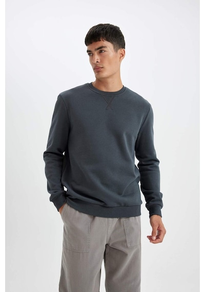 DeFacto Regular Fit Bisiklet Yaka Kalın Basic Düz Sweatshirt T3777AZ24AUAR184