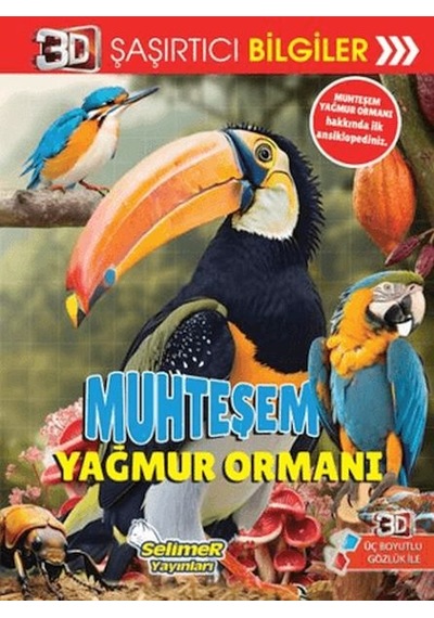 3d Şaşırtıcı Bilgiler - Muhteşem Yağmur Ormanı