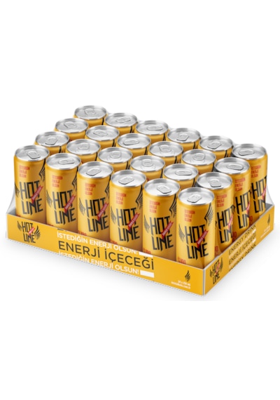 Hotline Enerji İçeceği 250 ml 24'lü